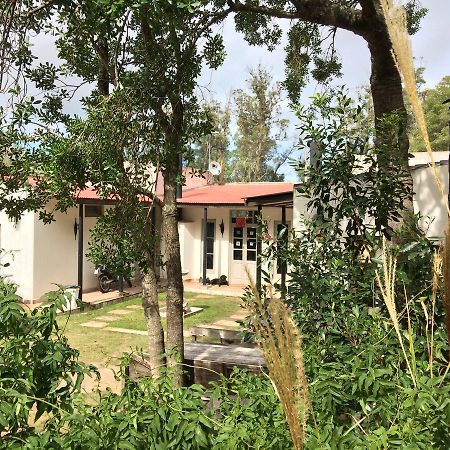 Hostel Punta Ballena Bar Punta del Este Ngoại thất bức ảnh