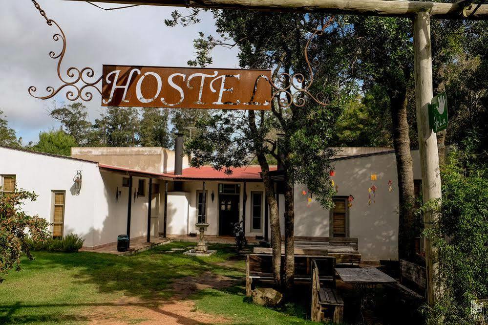 Hostel Punta Ballena Bar Punta del Este Ngoại thất bức ảnh