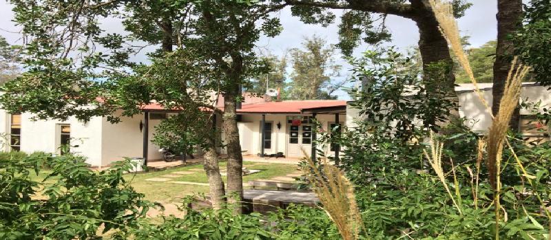 Hostel Punta Ballena Bar Punta del Este Ngoại thất bức ảnh