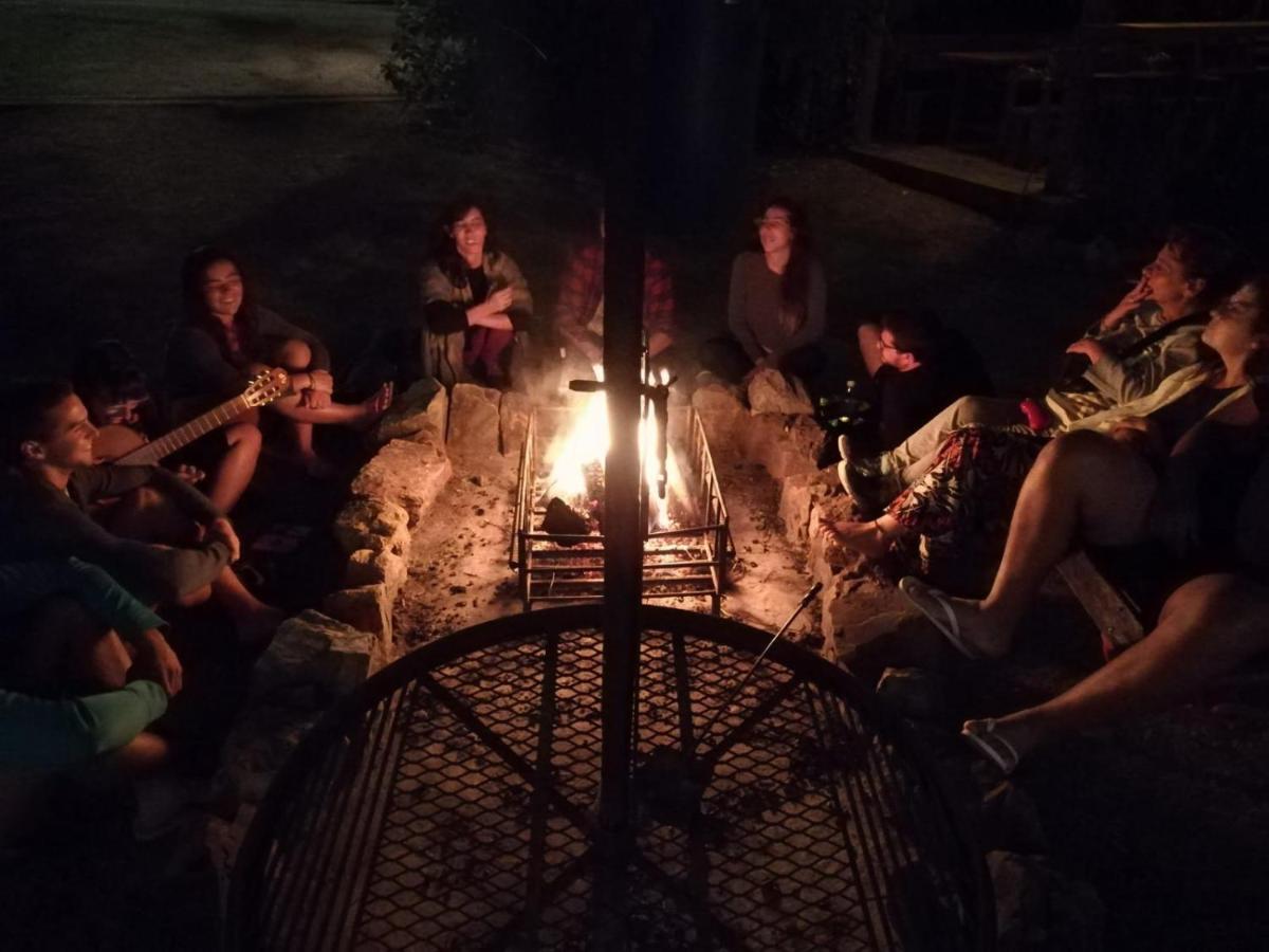 Hostel Punta Ballena Bar Punta del Este Ngoại thất bức ảnh